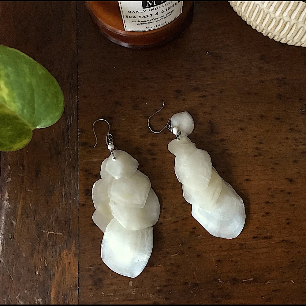 Seashell Earrings